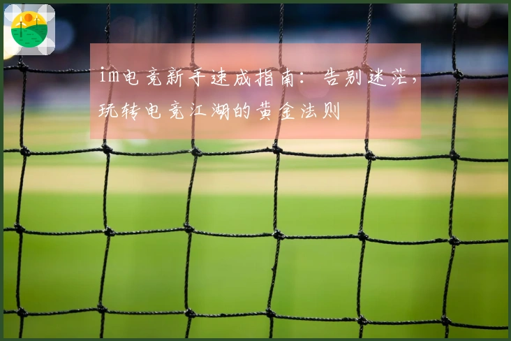 im电竞新手速成指南：告别迷茫，玩转电竞江湖的黄金法则