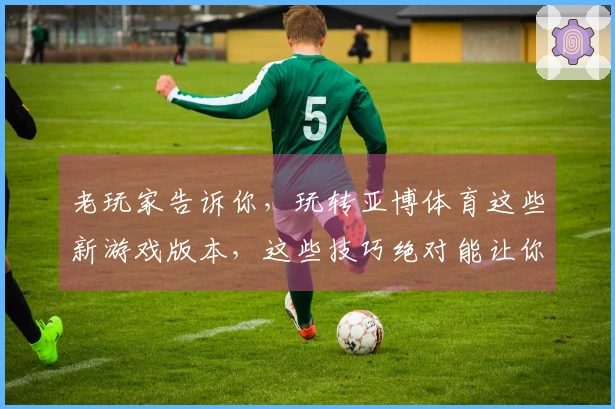 老玩家告诉你，玩转亚博体育这些新游戏版本，这些技巧绝对能让你事半功倍
