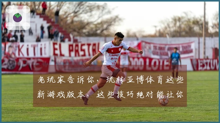 老玩家告诉你，玩转亚博体育这些新游戏版本，这些技巧绝对能让你事半功倍