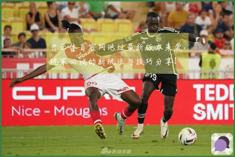 开云体育官网地址最新版本来袭，玩家必试的新玩法与技巧分享！